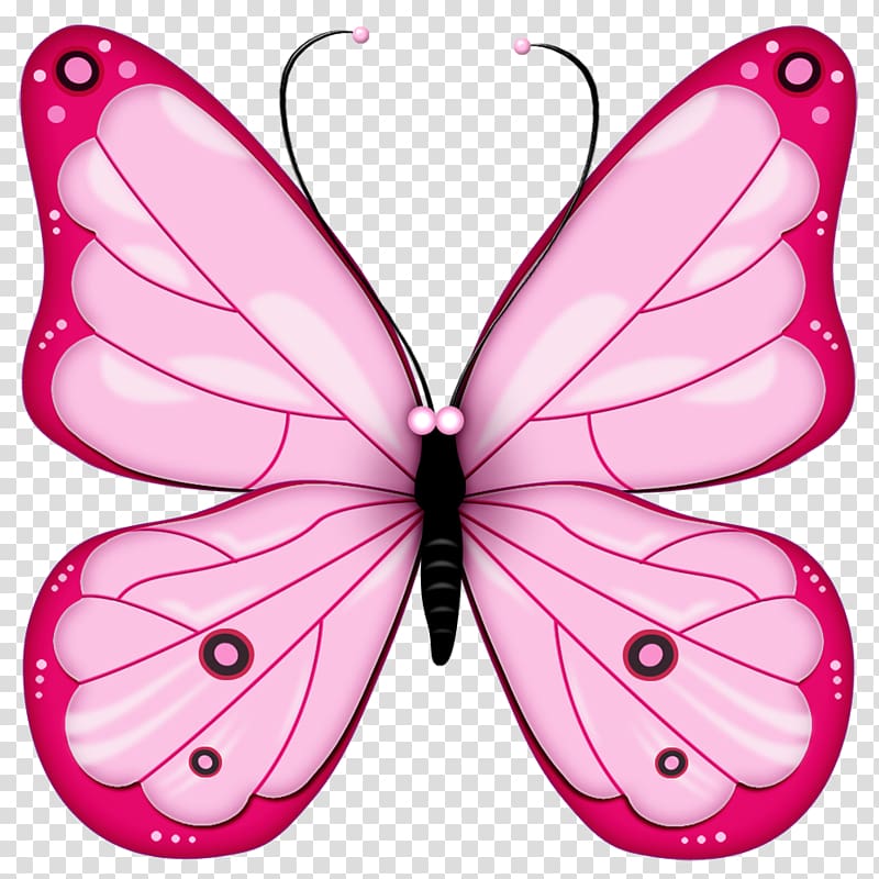 Drawing , Butterfly transparent background PNG clipart