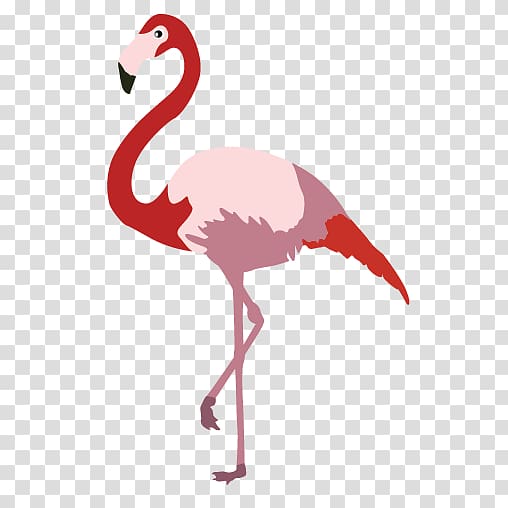 Cartoon Flamingo Bird, flamingo transparent background PNG clipart