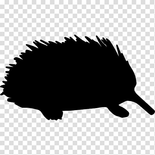 Computer Icons Echidna Mammal, others transparent background PNG clipart