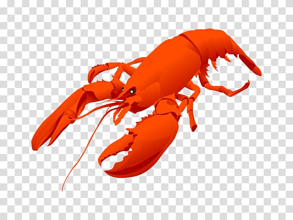 Lobster Cdr , Lobster transparent background PNG clipart