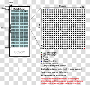 Line Point Brand Font, line transparent background PNG clipart thumbnail