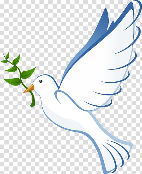 white dove carrying leaf illustration, Columbidae Bible Christianity , Dove transparent background PNG clipart