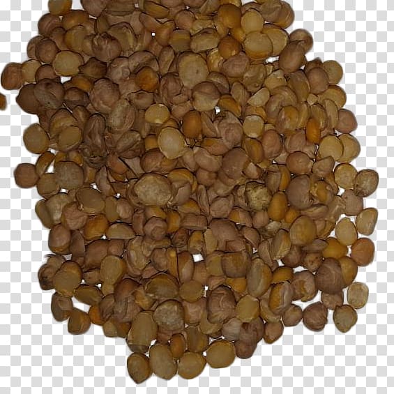 Commodity Seed Mixture, CHICK PEAS transparent background PNG clipart