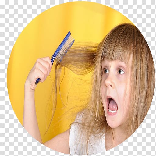 Toddler, lice transparent background PNG clipart