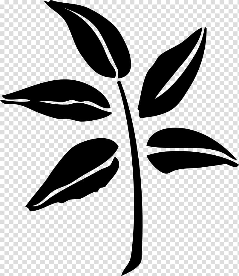 Leaf Silhouette , Leaf transparent background PNG clipart
