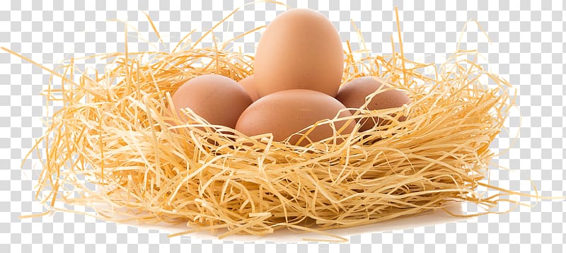 Chicken Bird Egg Nest, chicken transparent background PNG clipart