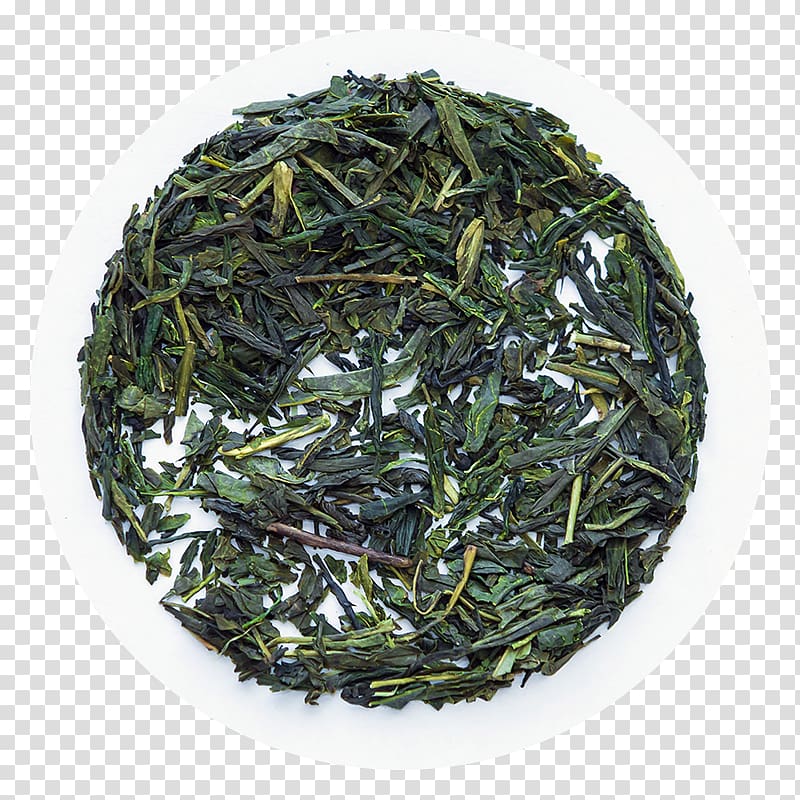 Gyokuro Nilgiri tea Oolong Earl Grey tea, tea transparent background PNG clipart