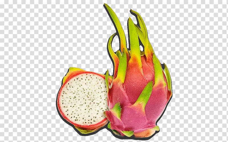 Pitaya Fruit Food Central America Mexico, transparent background PNG clipart