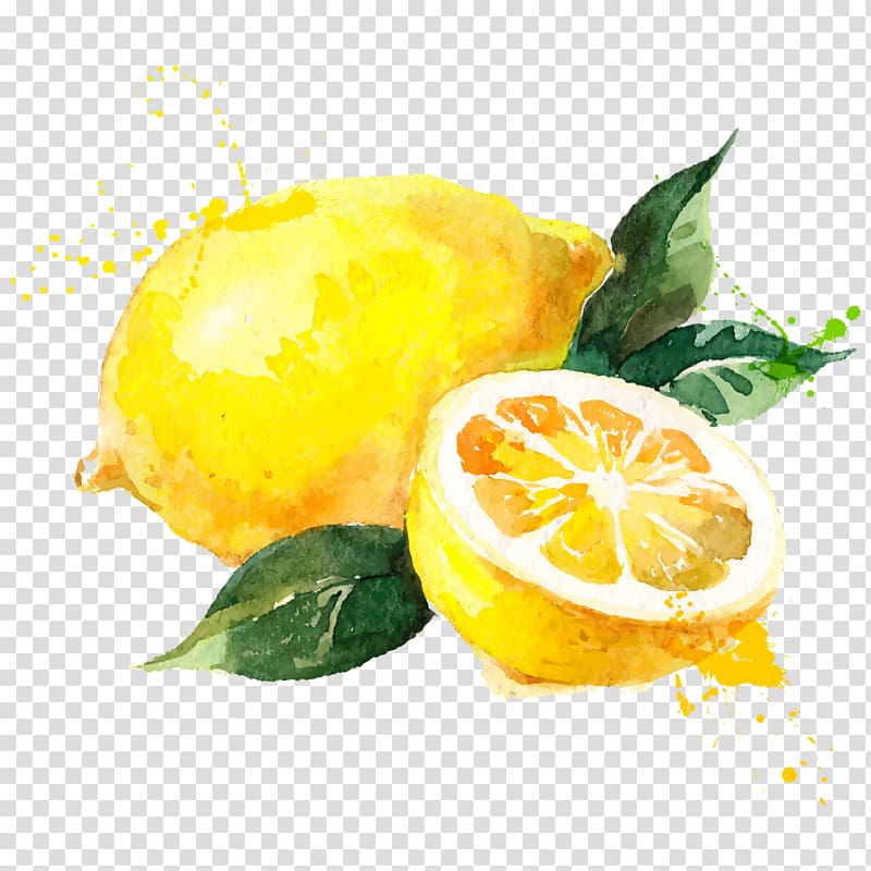 whole and slice lemon, Watercolor painting Lemon Drawing, iphone 6 transparent background PNG clipart