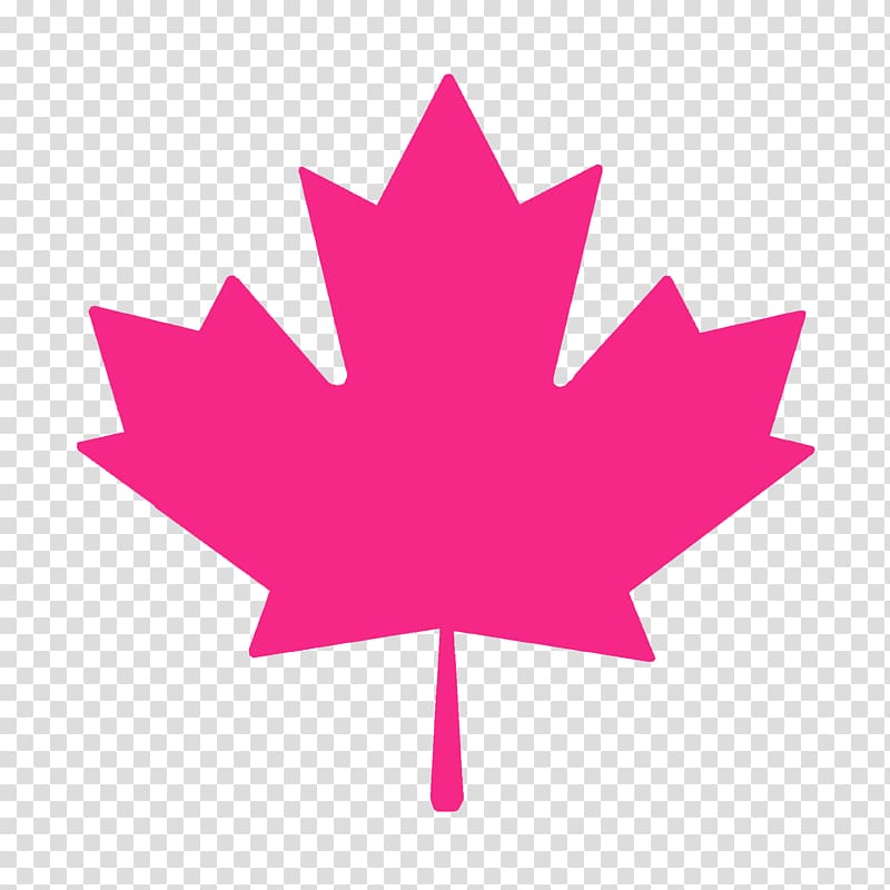 Flag of Canada Maple leaf Canadian Red Ensign, Canada transparent background PNG clipart