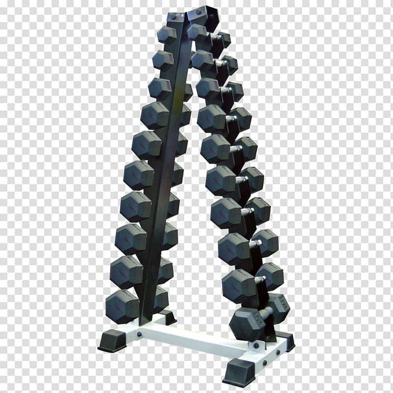 Dumbbell Weight training Barbell Physical fitness Natural rubber, Display Rack transparent background PNG clipart