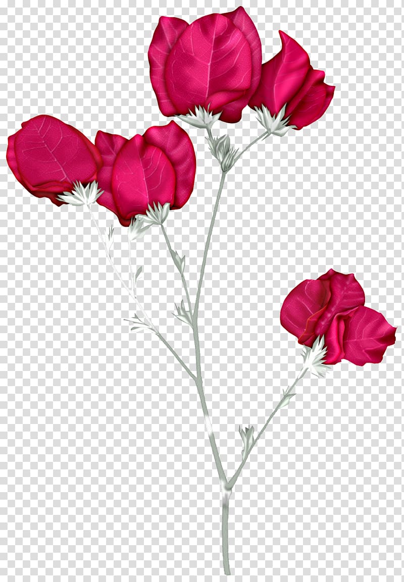 Garden roses Flower, oreja flores meme transparent background PNG clipart