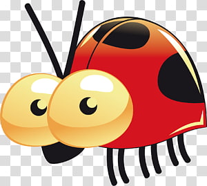 Cute Ladybug Png, Transparent Png , Transparent Png Image - PNGitem