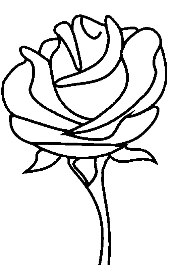 Coloring book Rose Child Drawing, Sailboat For Kids transparent background PNG clipart