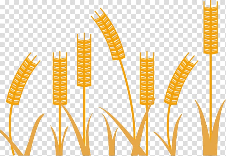 Wheat Minimalism, Wheat minimalist design material transparent background PNG clipart