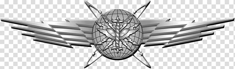 Cyberspace Air Force Cyber Command (Provisional) Badges of the United States Air Force Badges of the United States Air Force, others transparent background PNG clipart