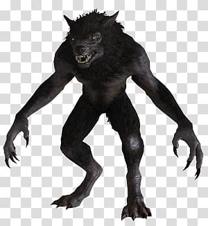 Werewolf transparent background PNG clipart