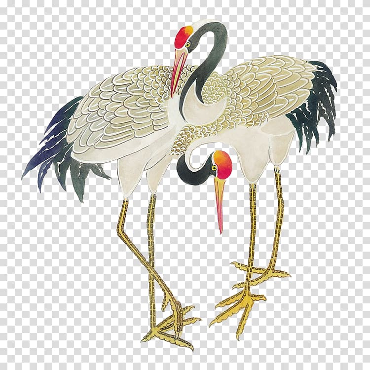 red-crowned crane transparent background PNG clipart