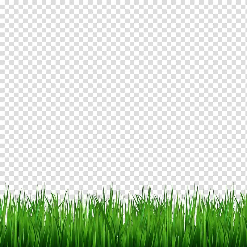 green grass , Lawn Green , grass transparent background PNG clipart
