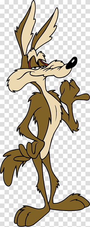 Looney Tunes character, Wile E. Coyote and the Road Runner Looney Tunes ...