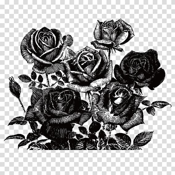 Painting Rose , Black Rose transparent background PNG clipart