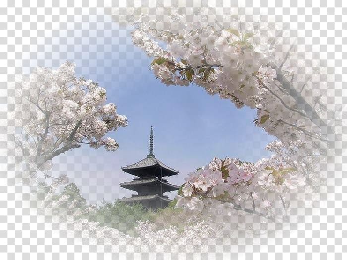 Japan Cherry blossom Lecture Economique de l'Histoire du Japon Landscape Hanami, japan transparent background PNG clipart