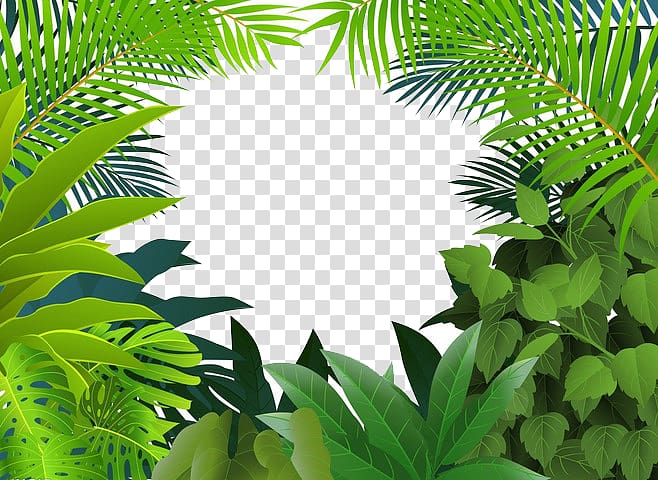Tropical rainforest Jungle Tropics , Yin green grass, green plant  illustration transparent background PNG clipart | HiClipart