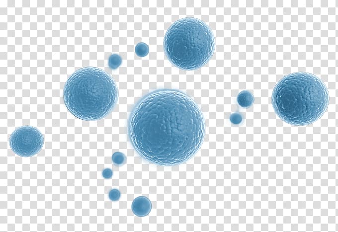 Stem cell controversy Stem-cell therapy Induced pluripotent stem cell, stem cell transparent background PNG clipart