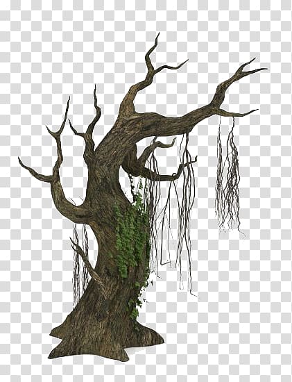withered old trees transparent background PNG clipart