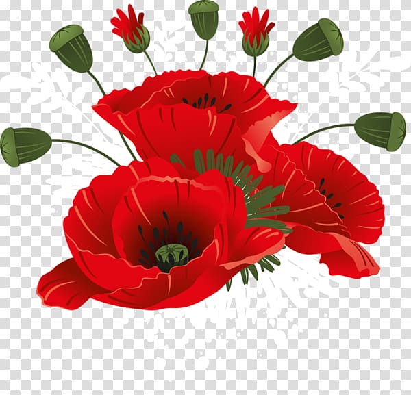 Remembrance and Reconciliation Day Ukraine Daytime Remembrance poppy , others transparent background PNG clipart