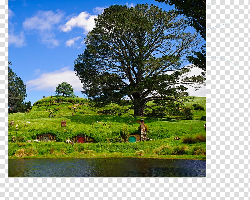 Hobbiton Movie Set Waitomo Caves Rotorua Auckland Hotel, hotel transparent background PNG clipart