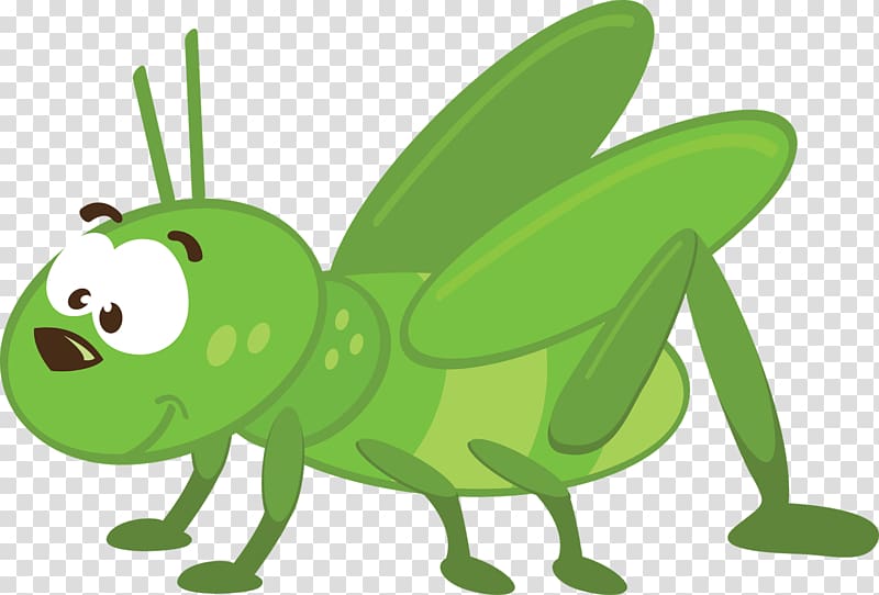 Insect Animation, insect transparent background PNG clipart