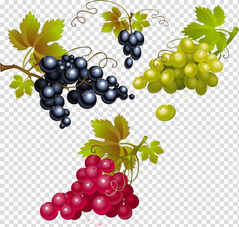 Red Wine Concord grape Merlot White wine, wine transparent background PNG clipart