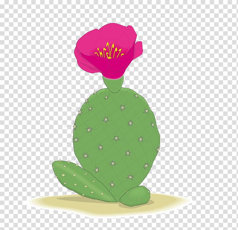 Barbary fig Cactaceae Flower, Prickly pear blossom transparent background PNG clipart