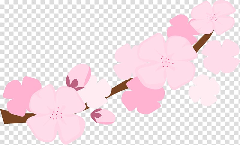 National Cherry Blossom Festival , Blossom transparent background PNG clipart