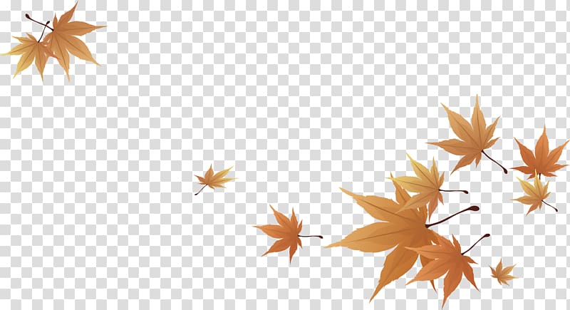 Maple leaf, Leaves Shading transparent background PNG clipart