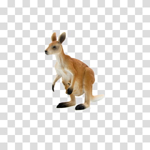 Macropods Red kangaroo Stuffed Animals & Cuddly Toys, kangaroo transparent background PNG clipart thumbnail