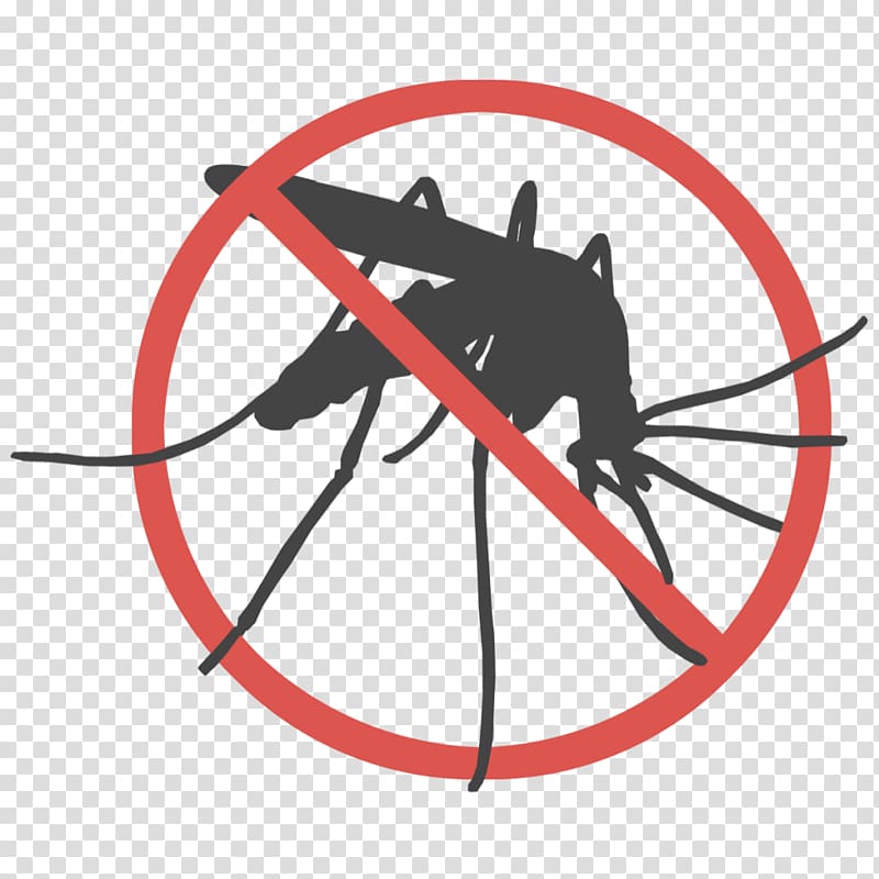Marsh Mosquitoes Malaria Mosquito-borne disease Mosquito control, mosquito transparent background PNG clipart