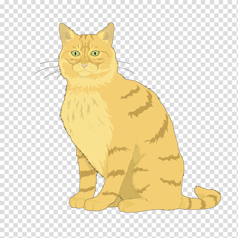 Ragdoll Kitten Euclidean , Yellow cat transparent background PNG clipart