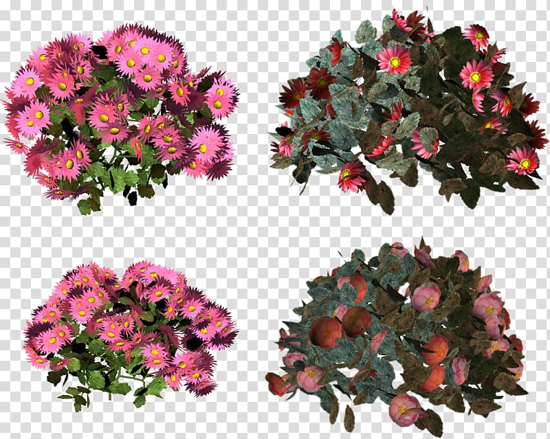 Cut flowers Floral design Floristry Artificial flower, kaya scodelario transparent background PNG clipart