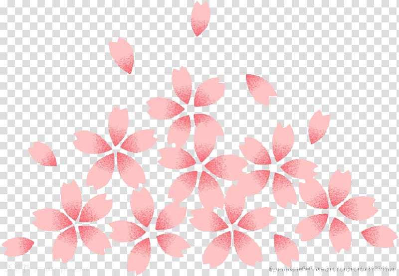 Cherry blossom, Cherry blossoms transparent background PNG clipart