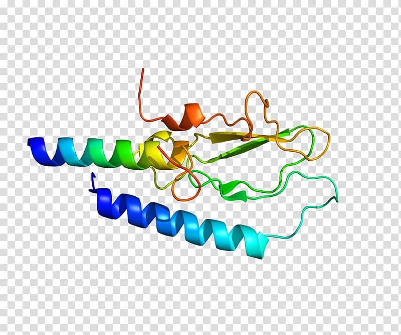 Glucagon-like peptide-1 receptor agonist Glucagon-like peptide 1 receptor, diabetes transparent background PNG clipart