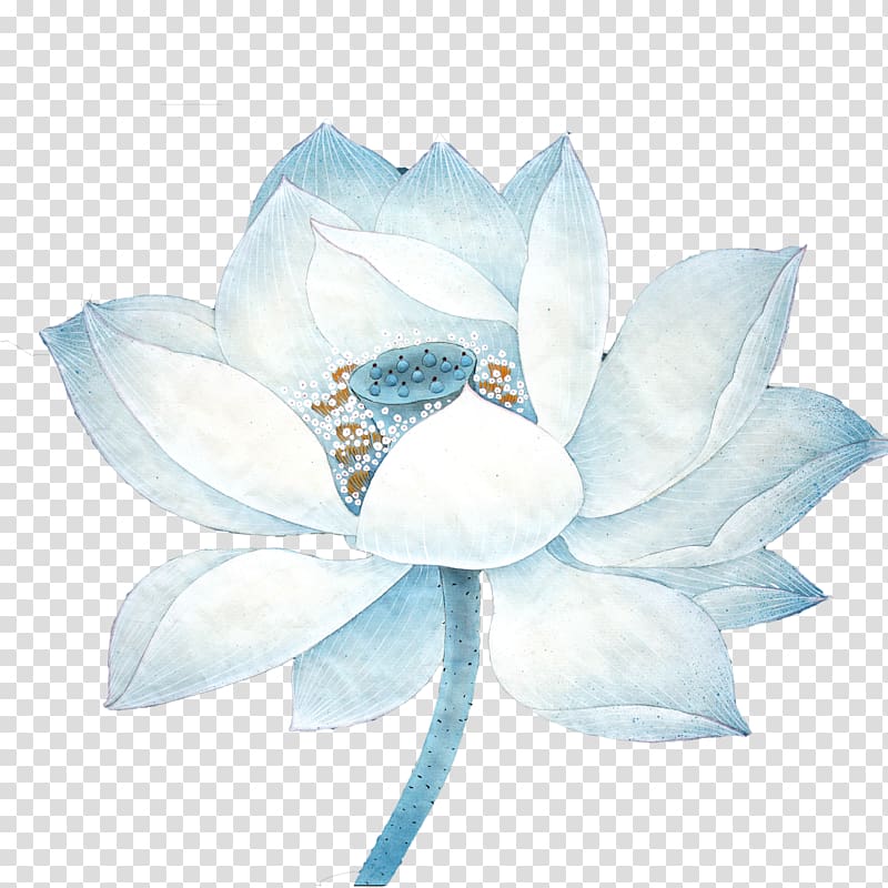 Nelumbo nucifera Lotus effect Blue , Lotus transparent background PNG clipart