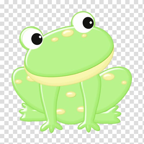 green frog illustration, True frog Edible frog Tree frog , A frog transparent background PNG clipart