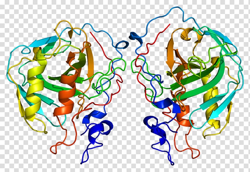 Carbonic anhydrase 4 Carbonic anhydrase II Carbonic acid Carbonic anhydrase 9, others transparent background PNG clipart