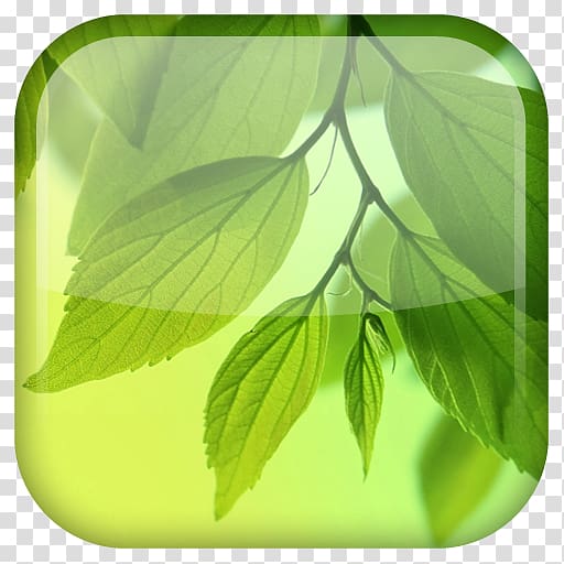 Samsung Galaxy S4 Desktop Android, floating leaves transparent background PNG clipart