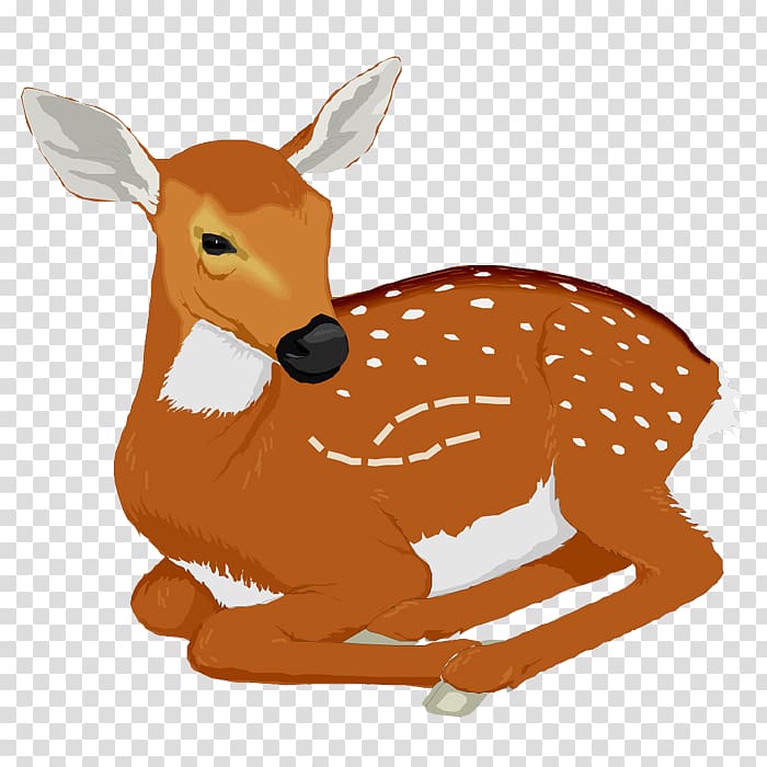 White-tailed deer , Deer transparent background PNG clipart