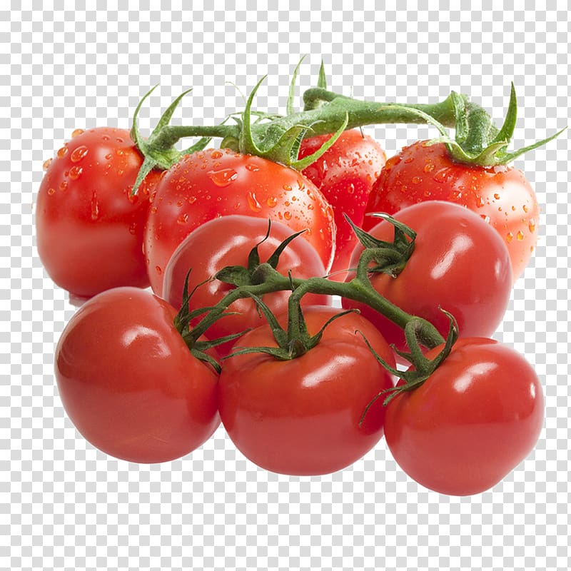 Tomato paste Ripening Canned tomato Extract, Tomatoes transparent background PNG clipart