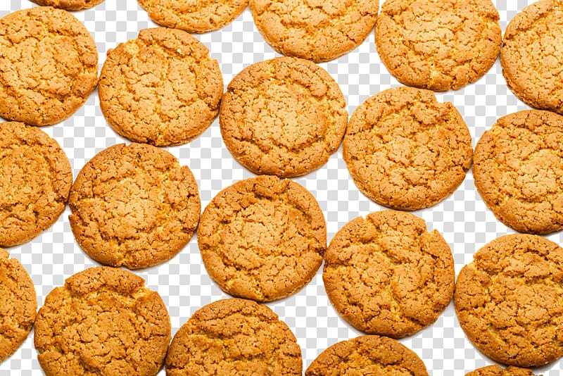 Peanut butter cookie Oatmeal Raisin Cookies Snickerdoodle Anzac biscuit, Walnut Cookies transparent background PNG clipart