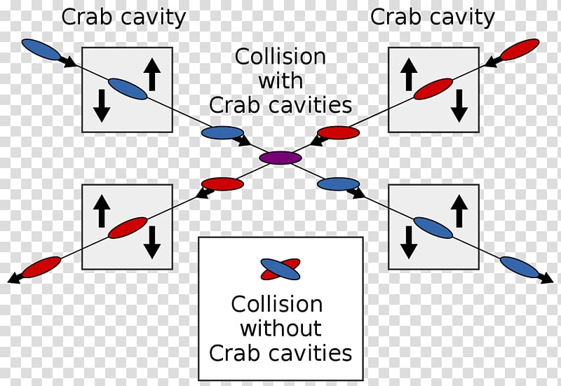 Crab cavity KEKB Particle accelerator Particle beam Cavità risonante, Abdominopelvic Cavity transparent background PNG clipart
